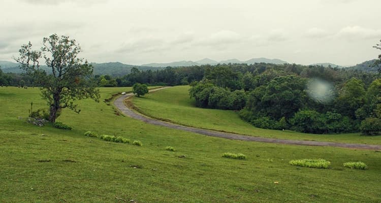 Somwarpet