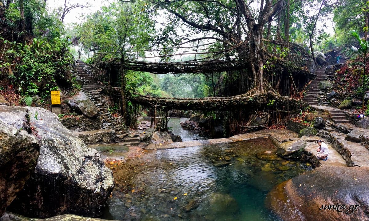 Nongriat Root Bridge Trek