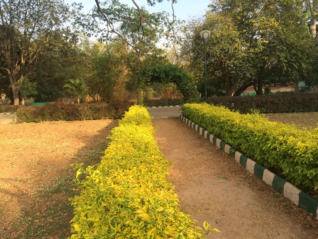 Lalbagh Botanical Garden