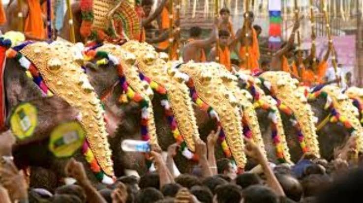 Njangattiri Aanayoottu