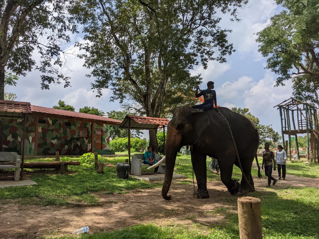 Dubare Elephant Camp