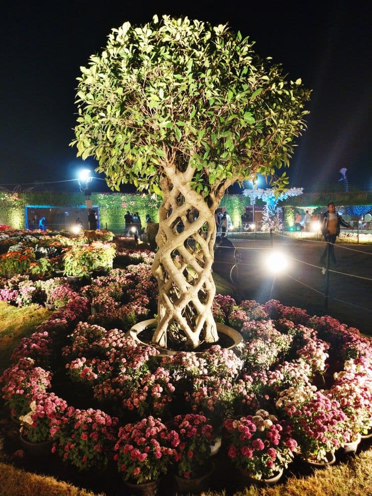 Riverfront Flower Park