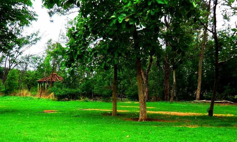 Botanic Garden of Indian Republic