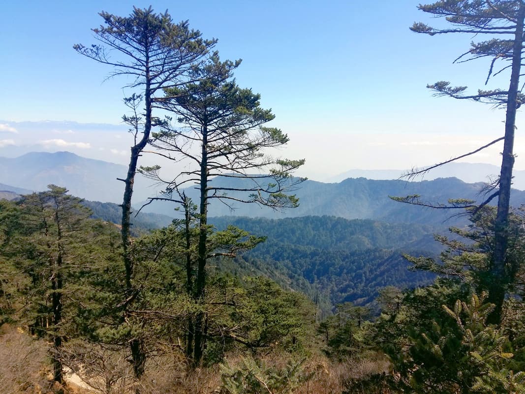 Singalila National Park