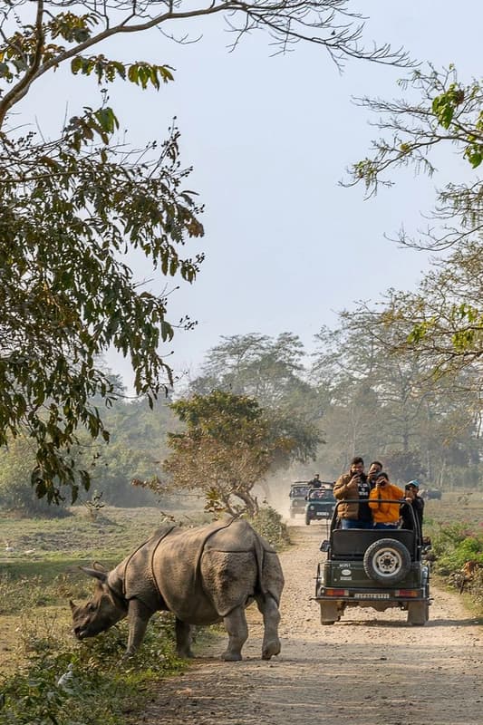 Kaziranga National Park