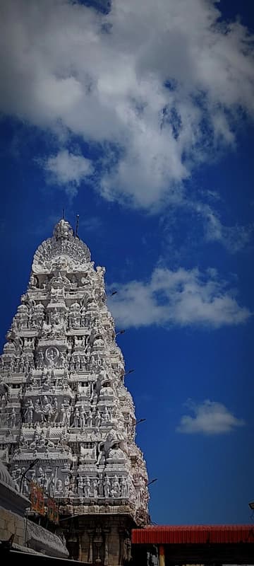 Sri Padmavathi Ammavari Temple