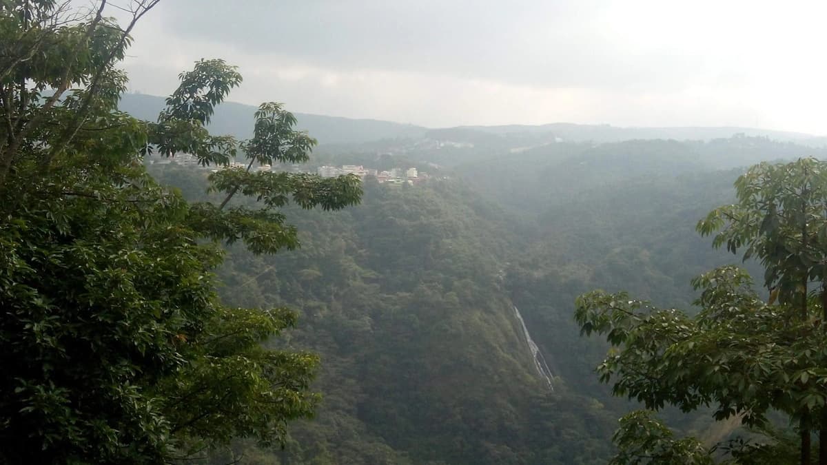 Beadon Bishop Viewpoint