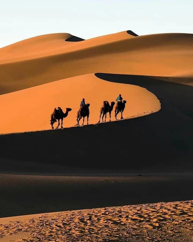 Raisar Dunes