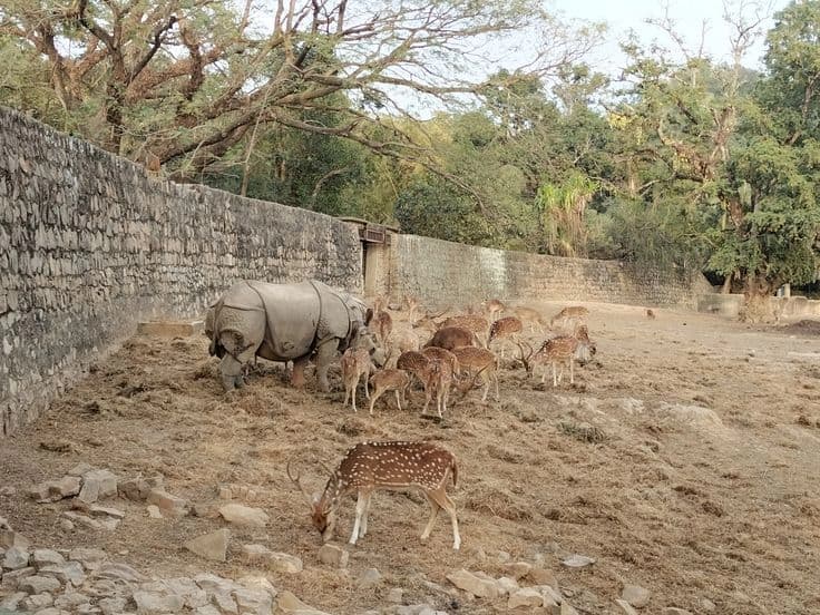 Assam State Zoo cum Botanical Garden