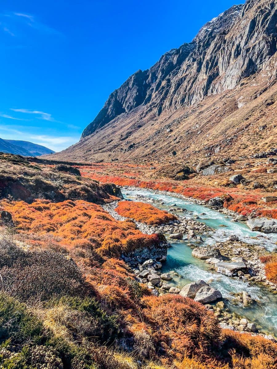 Goechala Trek